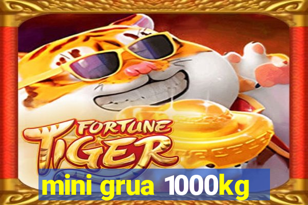 mini grua 1000kg